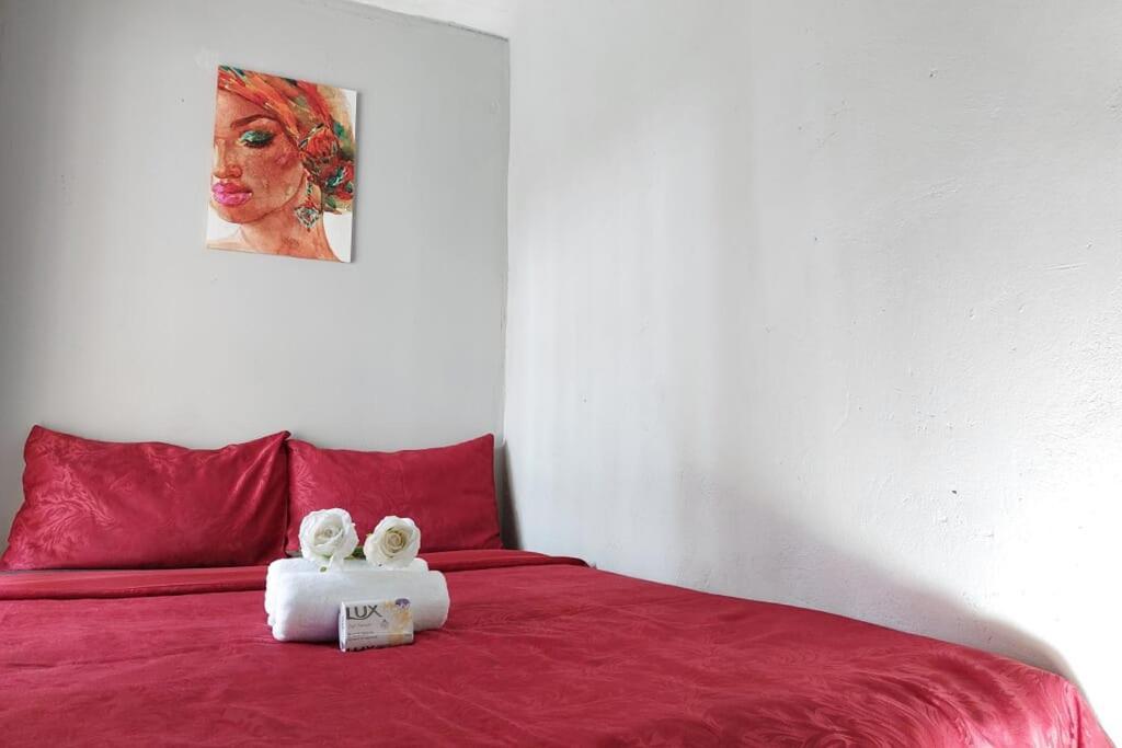 פרטוריה Cozy Hatfield Condo מראה חיצוני תמונה